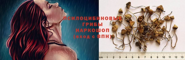 тгк Балабаново